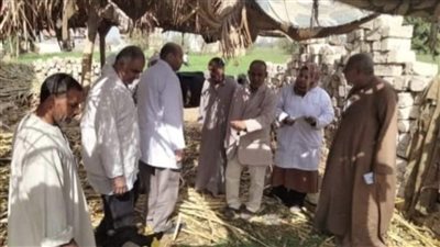 تحصين 195 ألف رأس ماشية للوقاية من مرضى الجلد العقدي والجدري بالمنيا