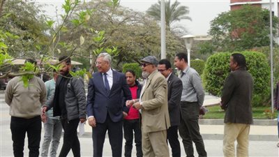 جامعة المنيا: زراعة 14 ألف شجرة ونخيل ونباتات زينة ومسطحات خضراء