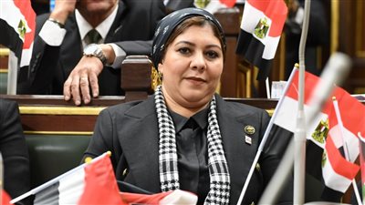 برلمانية: التحالف الوطني للعمل الأهلي يمثل أبهي صور التكافل الإنساني 