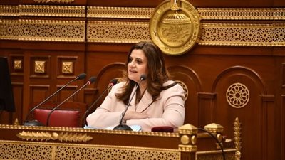 وزيرة الهجرة: نولي أهمية كبرى وغير مسبوقة بملف الشباب المصري بالخارج