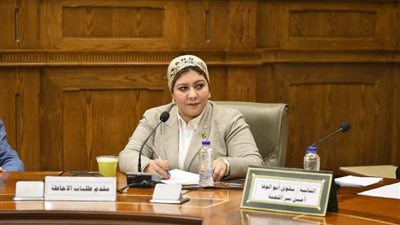 برلمانية: المرأة المصرية حظيت بدعم غير مسبوق في عهد الرئيس السيسي