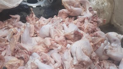 ضبط 750 كيلو لحوم ودواجن مجهولة المصدر وفاسدة بالمنوفية
