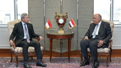 وزير الخارجية يجدد رفض مصر لأى اجتياح لمدينة رفح الفلسطينية