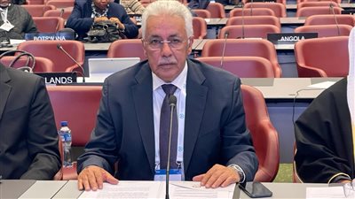 النائب الأول لرئيس البرلمان العربي يشارك باجتماع اللجنة الدائمة للسلم والأمن الدوليين 