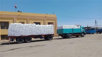 الدلتا للسكر تستمر في استلام محصول البنجر من المزارعين حتى نهاية الموسم