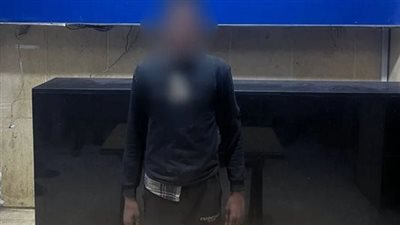 كاميرات المراقبة تقود أمن القاهرة لضبط قاتل صديقه في حدائق المعادي