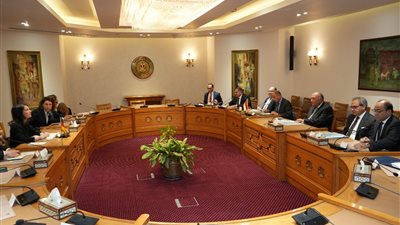 تفاصيل اجتماع وزير الخارجية مع نظيرته الألمانية في القاهرة