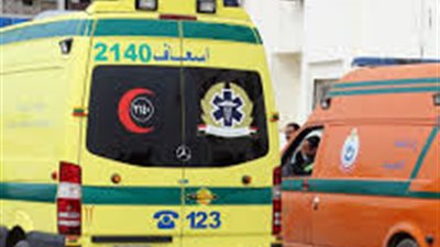 إصابة 9 أشخاص فى حوادث بشعة بالدقهلية