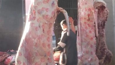 «بيطري المنيا» يحرر 51 محضرًا ويضبط طن لحوم فاسدة خلال مارس