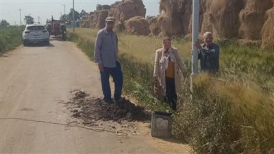 بدء زراعة 13 عامود إنارة بالربع في مركز تمي الأمديد بالدقهلية