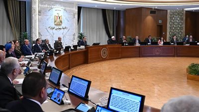 مجلس الوزراء يوافق على 4 قوانين جديدة.. تعرف عليهم 