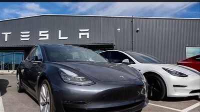 ما الحوافز التي يحتاجها صناع السيارات الكهربائية للتخلص من سيارات البنزين؟