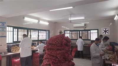 تقرير خطير أمام وزير الزراعة بشأن مشروع مكافحة وحصر العفن البني في البطاطس