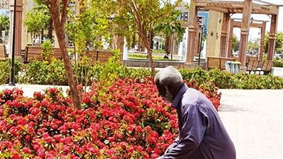 تجهيز الطرق المؤدية للساحات والمساجد لأداء صلاة العيد