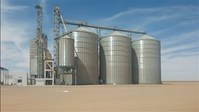 أشرف عطية: ظهور بشائر موسم الحصاد بأسوان كأول محافظة تحصد وتخزن الإنتاج الزراعي 