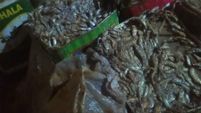 محافظ المنيا: حملات مكثفة على محال بيع الأسماك واللحوم