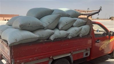 محافظ المنيا يعلن بدء موسم توريد القمح لعام 2024 لـ42 موقعًا تخزينيًا