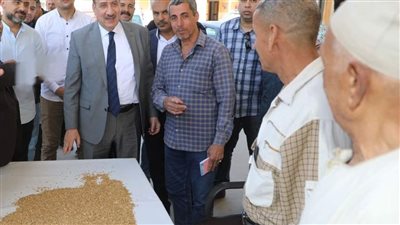 محافظ المنوفية يعلن انطلاق موسم حصاد القمح وحصيلة ما تم توريده