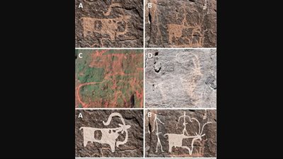 اكتشاف أقدم موطأ قدم للإنسان في المملكة العربية السعودية 