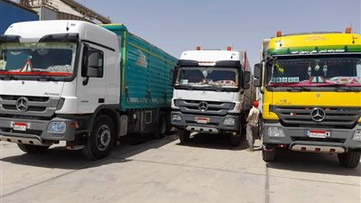 توريد 2848 طنًا و177كيلو جرامًا من محصول القمح إلى صوامع المنيا