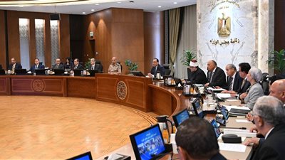 «مدبولي»: الدولة تبذل جهودا كبيرة لوقف إطلاق النار في غزة