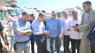محافظ الغربية يتفقد أعمال توريد واستلام القمح بشون المحلة الكبرى