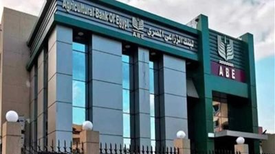 البنك الزراعي المصري يبدأ استلام محصول القمح من المزارعين والموردين في 190 موقع على مستوى الجمهورية