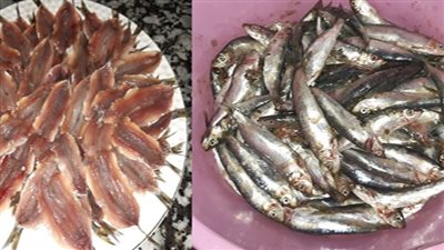 بالفيديو..طريقة تخليل السردين في المنزل بكل سهولة 