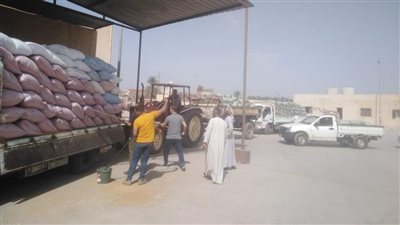 توريد 12213 طنًا من محصول القمح بالشون والصوامع الحكومية بمراكز المنيا