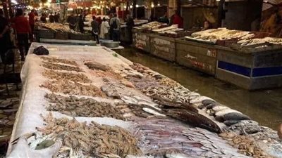 انخفاض في الأسعار والإقبال متوسط.. حصاد في أول أيام مقاطعة الأسماك بدمياط
