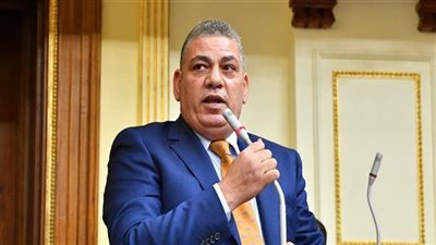 تفاصيل تحرك برلماني لحل «أزمة اللحوم» قبل عيد الأضحى.. تعرف على التفاصيل