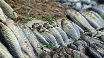 بالتزامن مع المقاطعة.. شعبة الأسماك بالغرف التجارية تعلن انخفاض الأسعار 30%