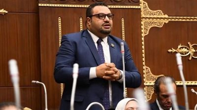 برلماني عن «ضحية الدارك ويب»: غياب مراقبة الأهالي لأبنائهم يؤدي إلى كوارث