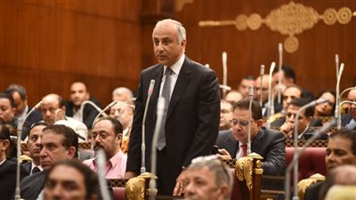 عضو بالشيوخ: التعليم في مصر لا يزال بخير ولكن نتطلع دائما للأفضل 