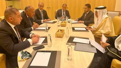 وزير الخارجية ونظيره البحريني يؤكدان ضرورة وقف الاعتداءات الإسرائيلية ضد الفلسطينيين