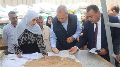 توريد 29 طن قمح للصوامح بالقليوبية حتى الآن