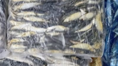 ضبط 8 طن لحوم ودواجن وأسماك فاسدة بالمنوفية 