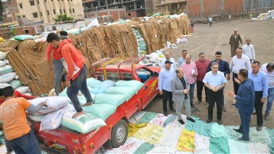 جولة ميدانية لمحافظ الغربية لمركز بسيون لمتابعة أعمال الرصف توريد القمح