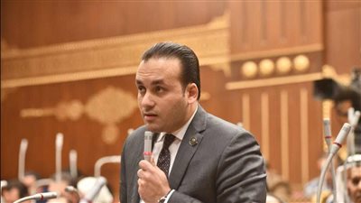 النائب عمرو فهمي: حجم الواردات المصرية خلال عام ٢٠٢٣ وصل نحو ٨٠ مليار جنيه