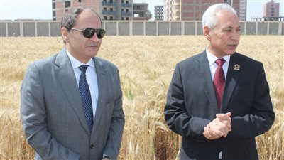 رئيس جامعة المنيا يفتتح موسم حصاد سُلالات القمح عالية بمركز الإنتاج والتدريب الزراعي 