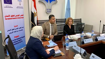 4 محاور مهم تناقشها اللجنة الاقتصادية بمجلس حقوق الإنسان لتمكين الشباب 