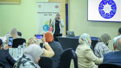 وزارة الصحة تنظم ورشة عمل لتحديد أولويات البحث العلمي في مجال الصحـة الواحدة