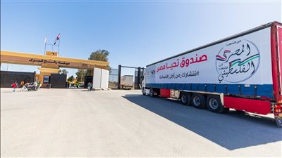 بالصور.. صندوق تحيا مصر يعلن وصول القافلة الإغاثية الخامسة لـ قطاع غزة