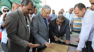 محافظ المنيا: توريد 67 ألف طن حتى الآن من محصول القمح
