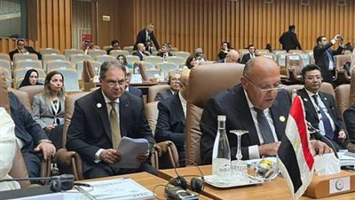 مصر تطالب بوقفة حاسمة ضد أوهام تصفية القضية الفلسطينية