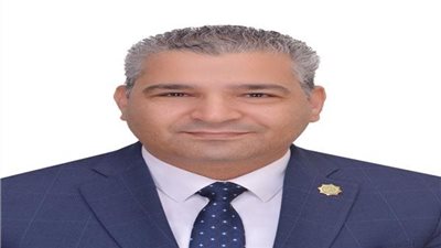 قيادي بـ«الشعب الجمهوري»: تقرير وكالة «فيتش» عن اقتصاد مصر يعطى حافزا جديدا للمستثمرين