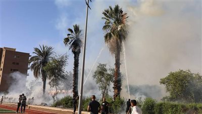 السيطرة على حريق داخل سور مدرسة الفريق صفى الدين أبوشناف بالمنيا