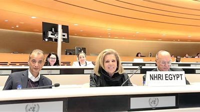  وفد من المجلس القومى لحقوق الإنسان يشارك بالإجتماع السنوى للمؤسسات الوطنية بالأمم المتحدة