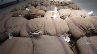السلع التموينية تتعاقد على470 ألف طن قمح من 4 دول