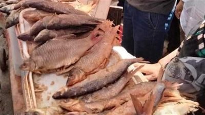 ضبط 167 مخالفة متنوعة فى حملات على المخابز البلدية والأسواق بالمنيا 